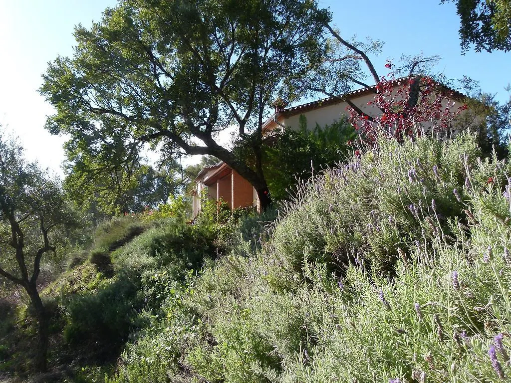Finca La Fronda Alájar Gasthuis